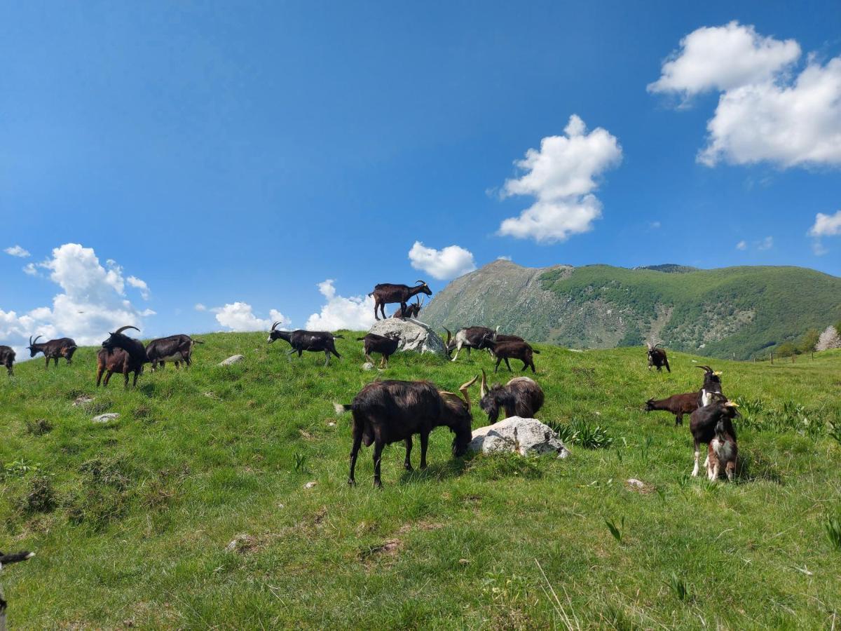 Apartma Mataj Kobarid Exteriör bild
